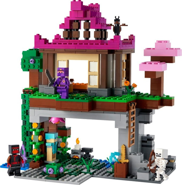 LEGO Minecraft Training Grounds